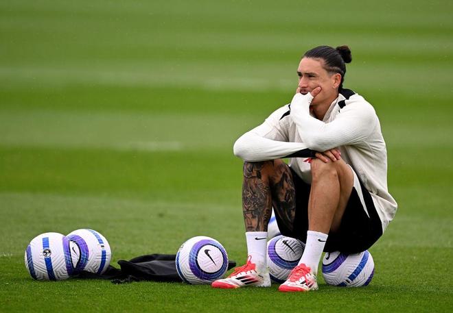 为他们树立 为他们树立