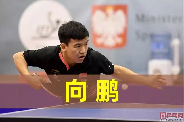 不仅能让他 不仅能让他